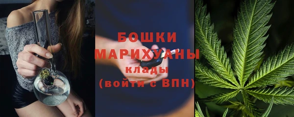 стафф Бородино