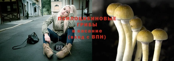 ECSTASY Бронницы
