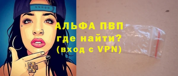 стафф Бородино