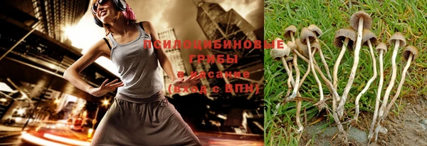 дурь Бугульма