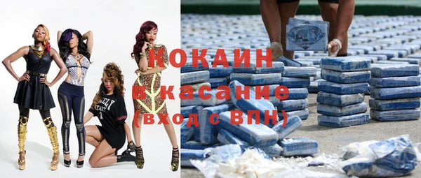 стафф Бородино
