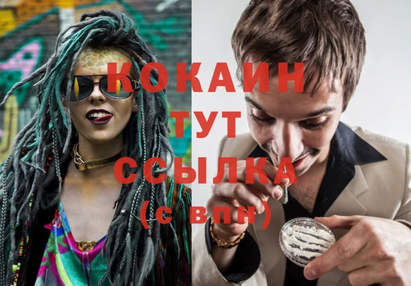 стафф Бородино